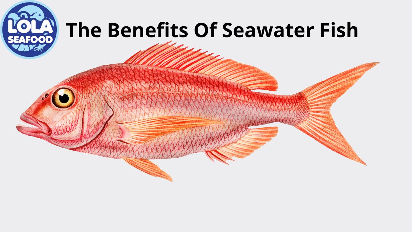 The Benefits Of Seawater Fish